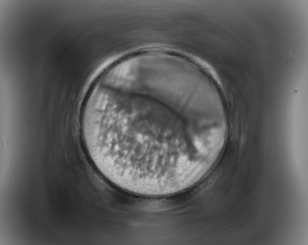 X0000085251279200703301802