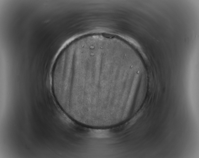 X0000085251280200703301802