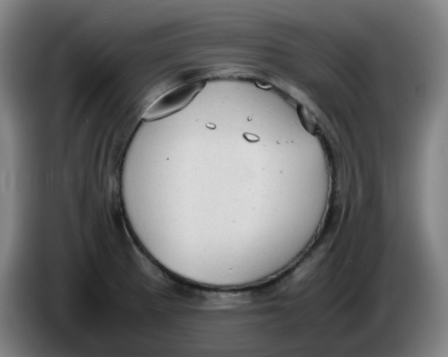 X0000085251281200703301802