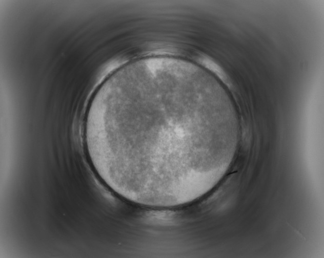 X0000085251282200703301802