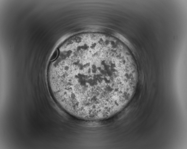 X0000085251283200703301802