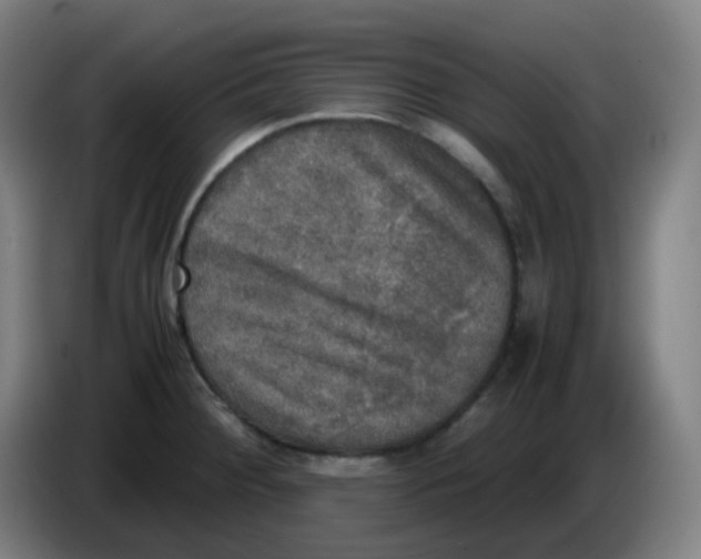 X0000085251284200703301802