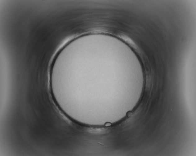 X0000085251286200703301802