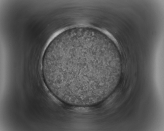 X0000085251287200703301802