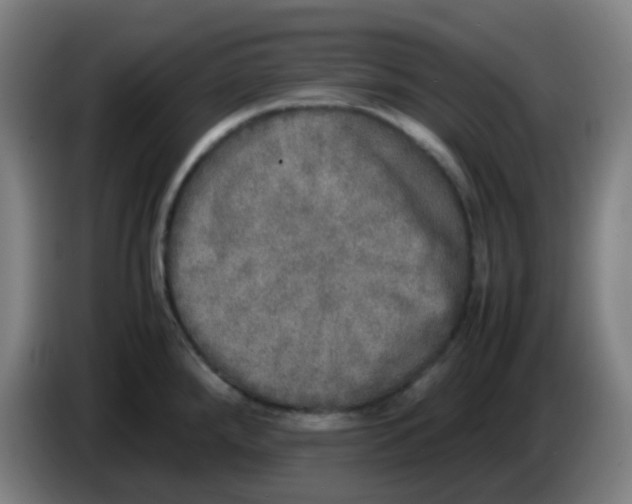 X0000085251288200703301802