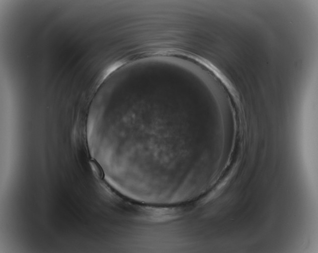 X0000085251289200703301802