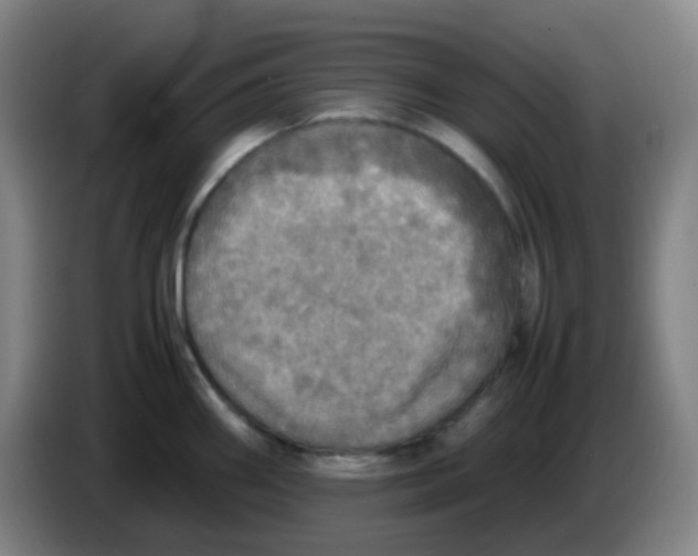 X0000085251290200703301802