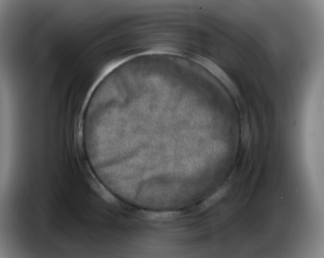 X0000085251292200703301801