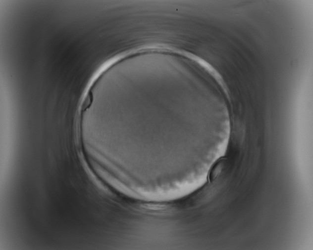 X0000085251295200703301801