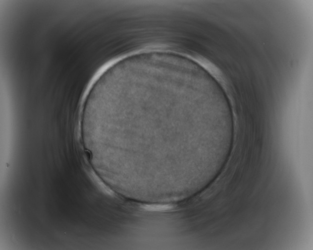 X0000085251296200703301801