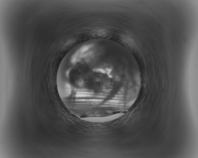 X0000085251297200703301801