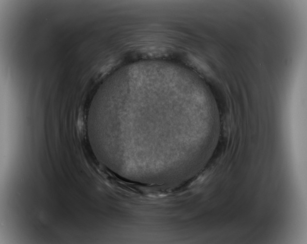 X0000085251298200703301801