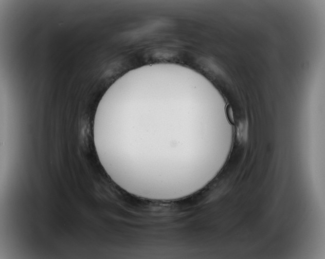 X0000085251299200703301801