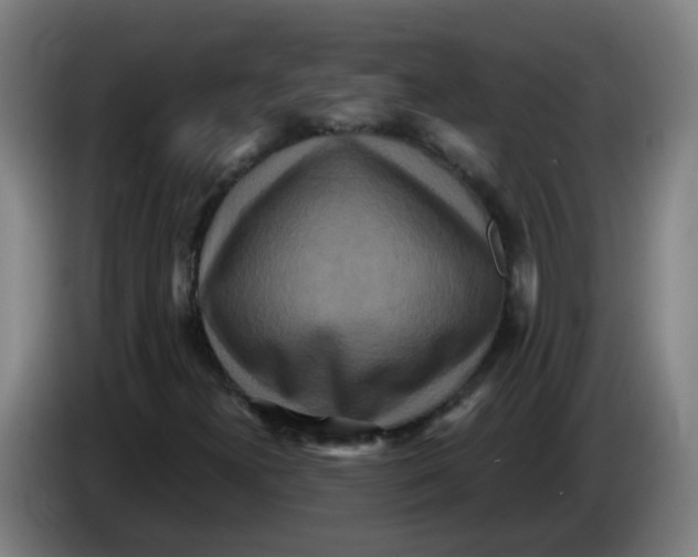 X0000085251300200703301801