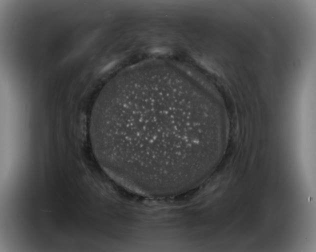 X0000085251301200703301801