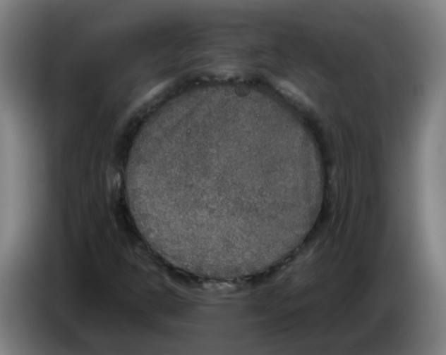 X0000085251302200703301801