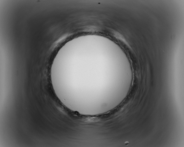 X0000085251304200703301801