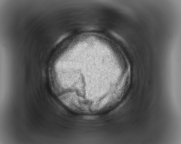 X0000085251305200703301801