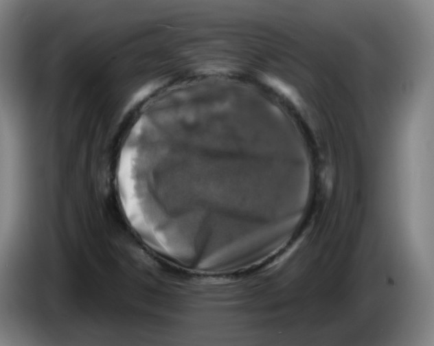 X0000085251306200703301801