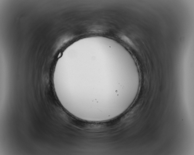 X0000085251307200703301801