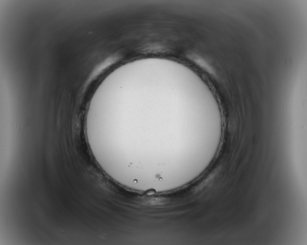 X0000085251309200703301801