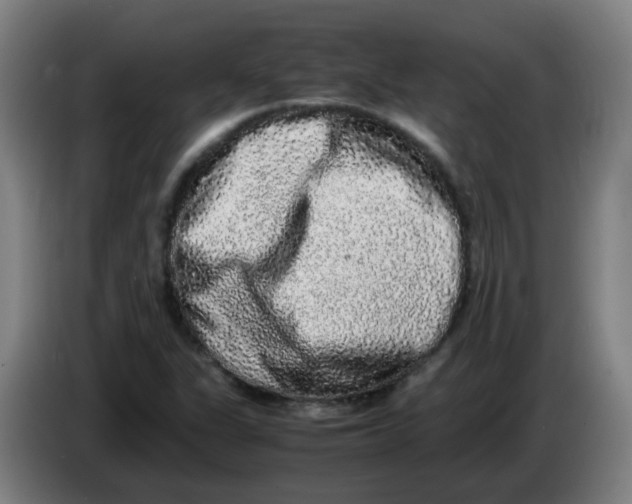 X0000085251311200703301801