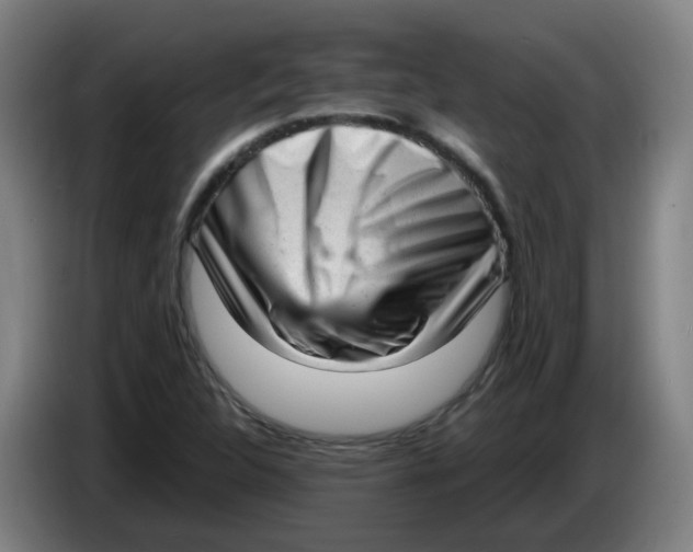 X0000085251312200703301801