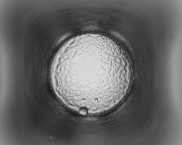 X0000085251313200703301801