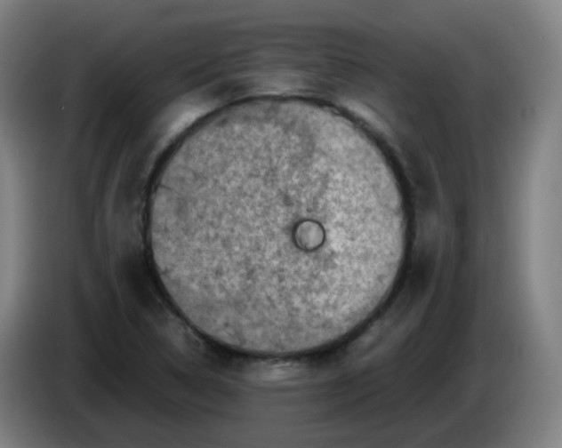 X0000085251314200703301801