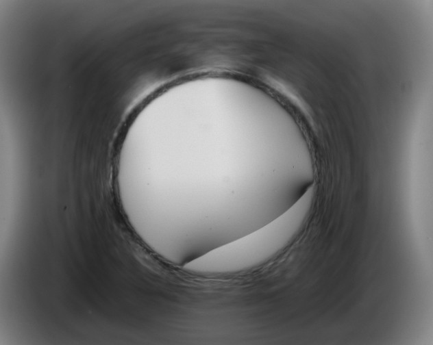 X0000085251316200703301801