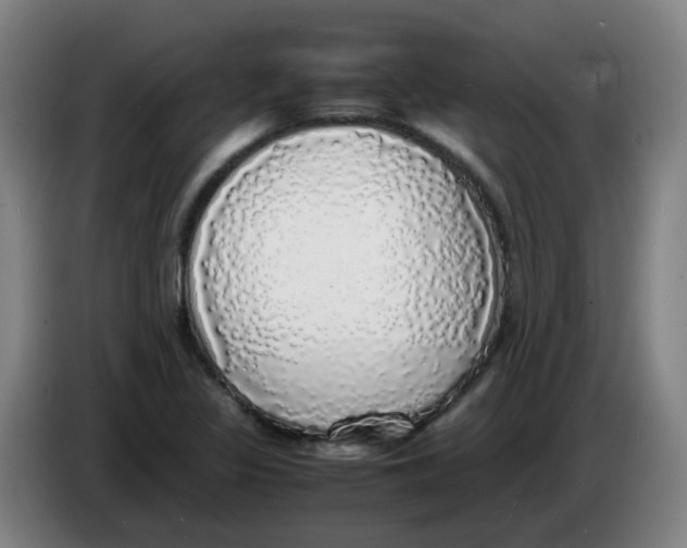 X0000085251317200703301801