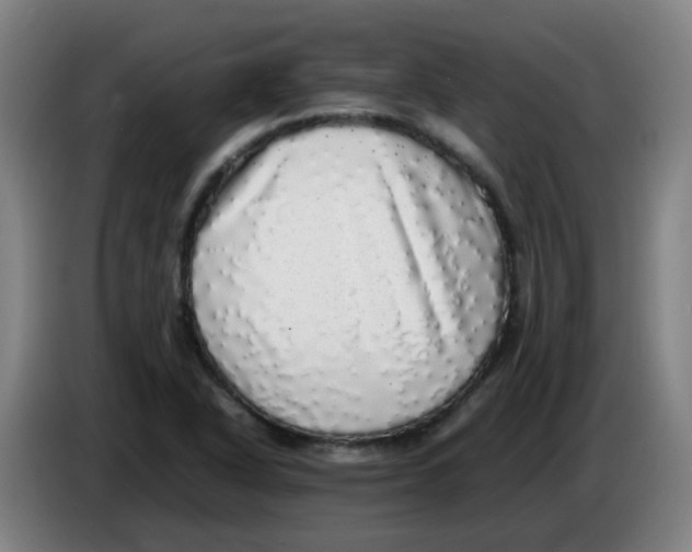 X0000085251318200703301801