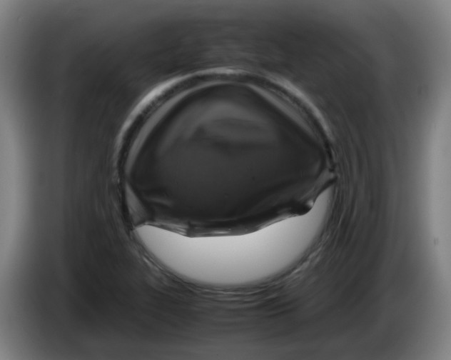 X0000085251319200703301801