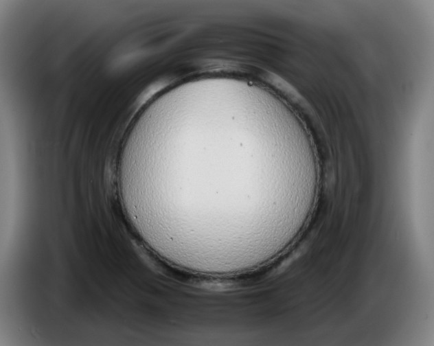 X0000085251321200703301801