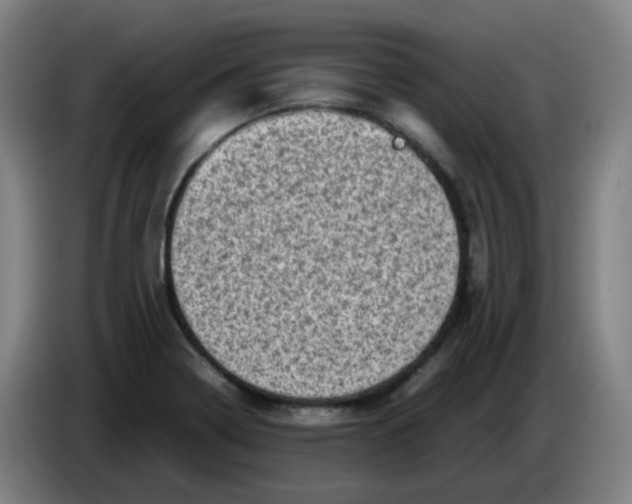 X0000085251322200703301801