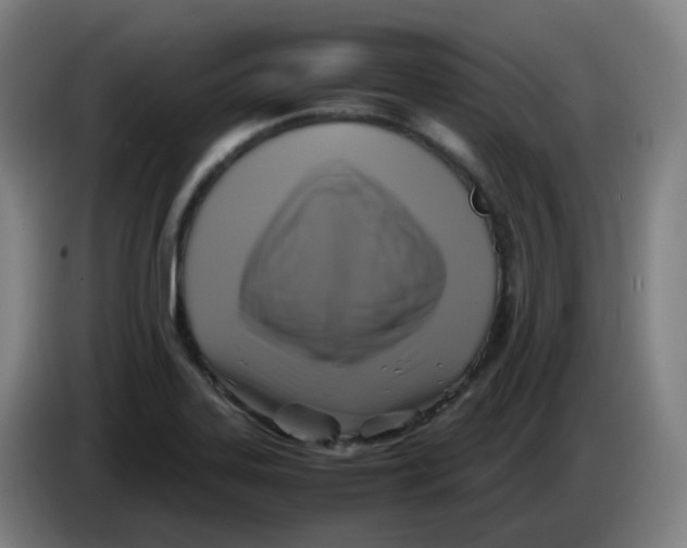 X0000085251323200703301801