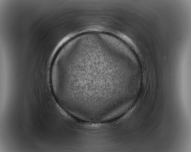 X0000085251326200703301801