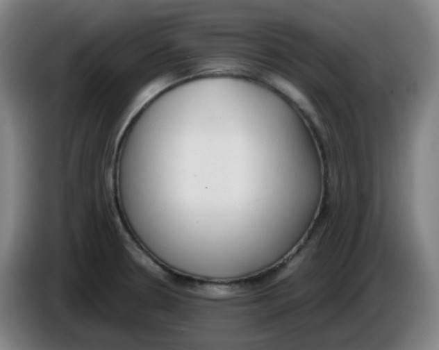 X0000085251330200703301801