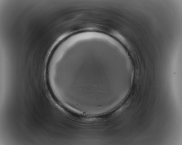 X0000085251331200703301801