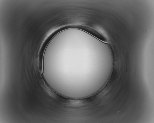 X0000085251332200703301801