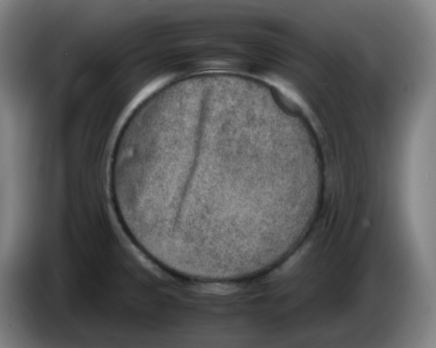 X0000085251333200703301801