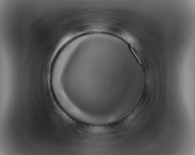 X0000085251334200703301801