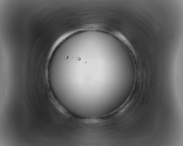 X0000085251336200703301801