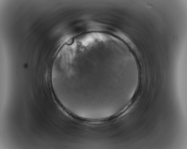 X0000085251337200703301801