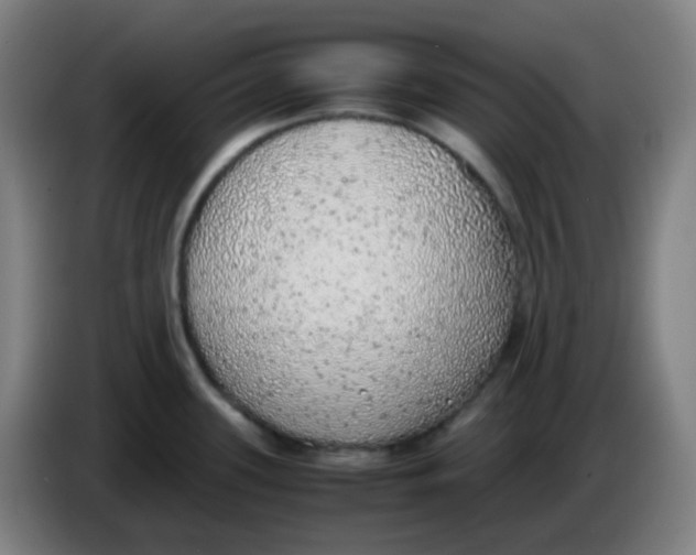 X0000085251339200703301801