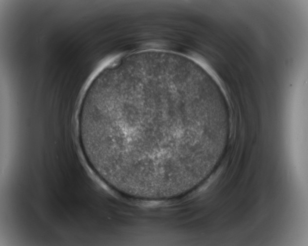 X0000085251341200703301801