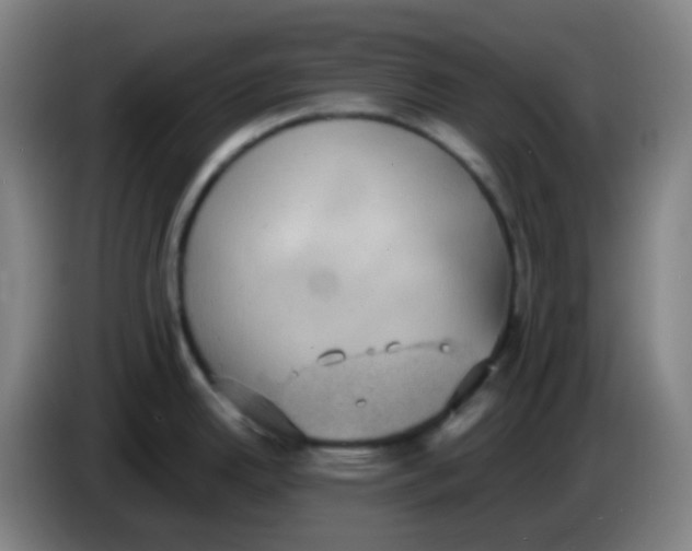 X0000085251342200703301801