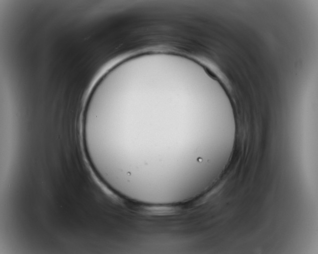 X0000085251343200703301801