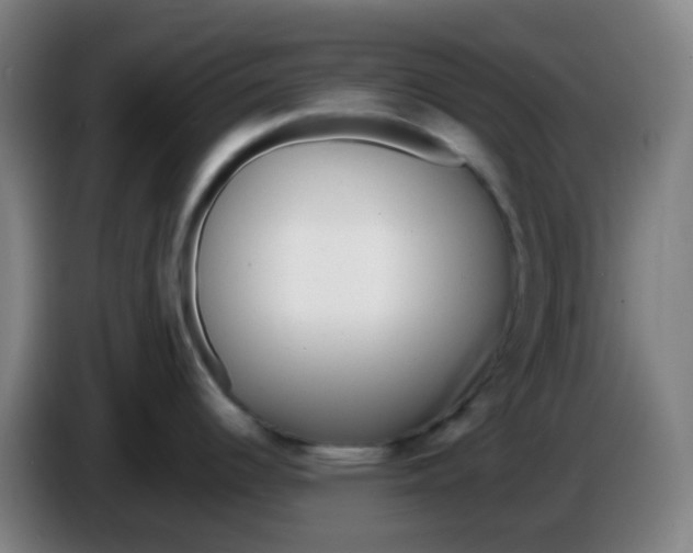 X0000085251344200703301801