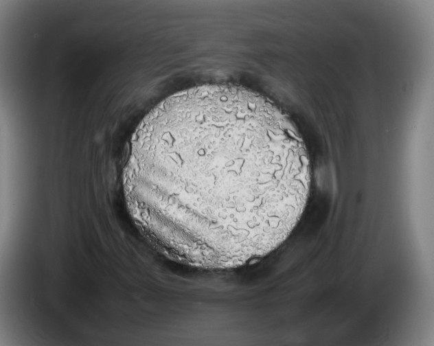 X0000085251347200703301801